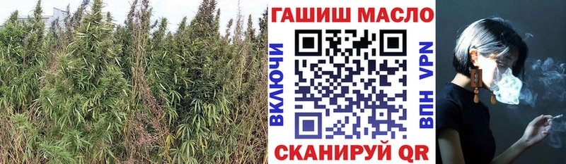 где продают   Красный Сулин  Дистиллят ТГК гашишное масло 