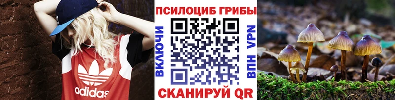 Псилоцибиновые грибы мицелий  как найти наркотики  Красный Сулин 